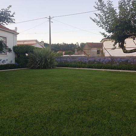 Vila Delfina Lousã Exteriér fotografie