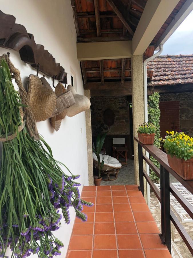 Vila Delfina Lousã Exteriér fotografie