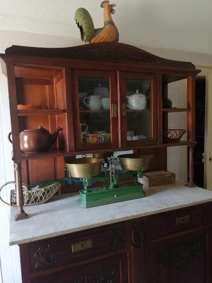 Vila Delfina Lousã Exteriér fotografie