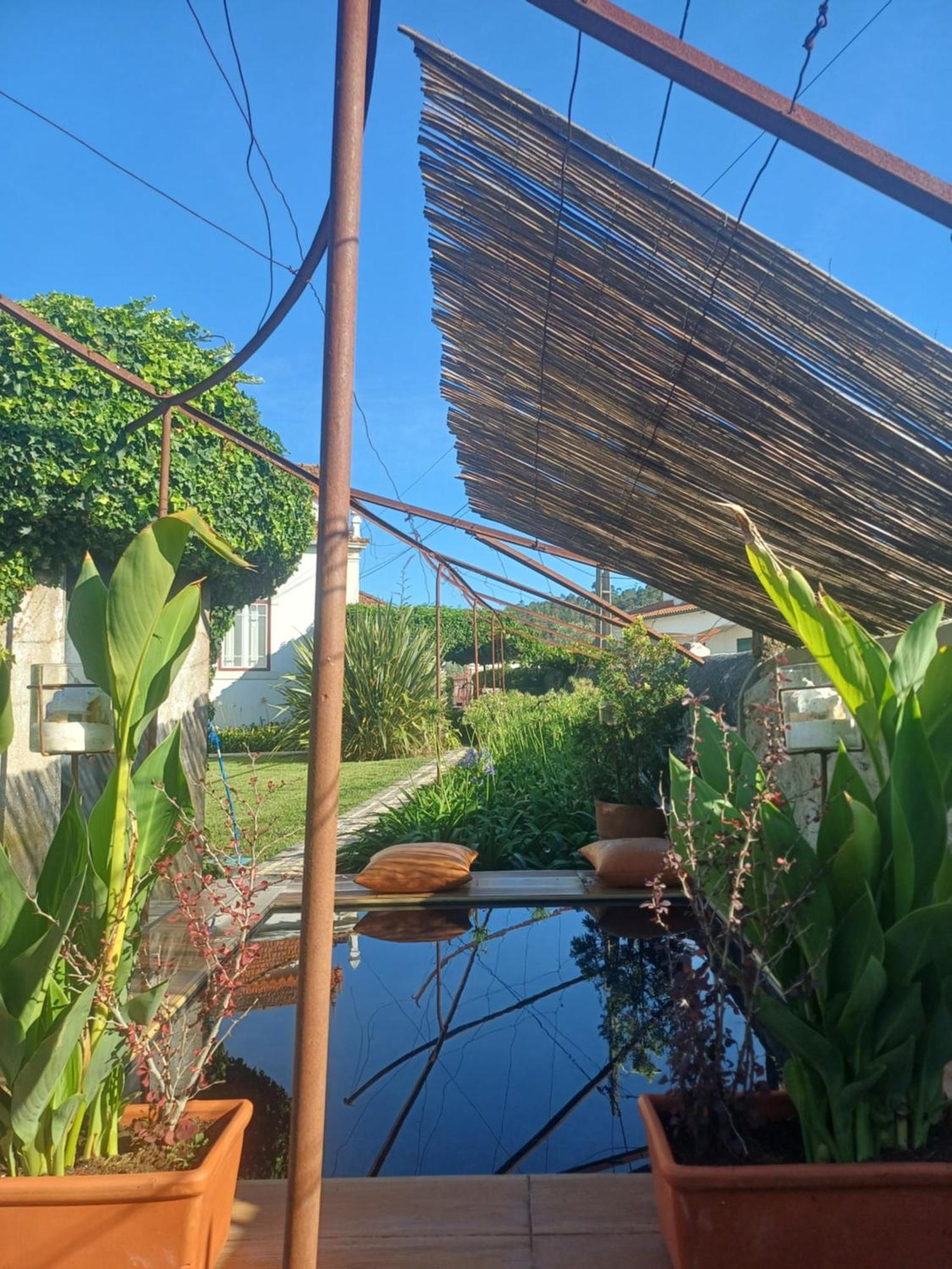 Vila Delfina Lousã Exteriér fotografie