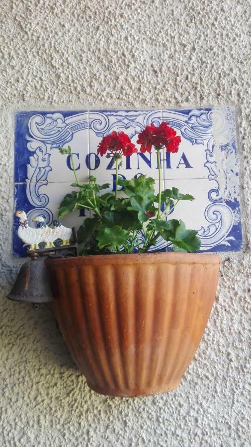 Vila Delfina Lousã Exteriér fotografie